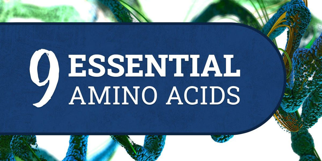 The 9 Essential Amino Acids (Health Guide) 2021